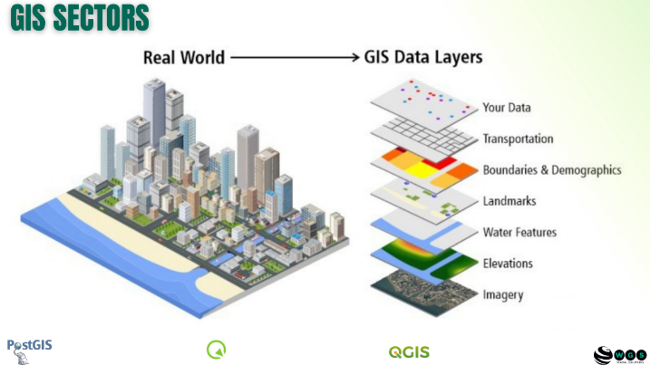 GIS Needs Assessment and Design for Organizations